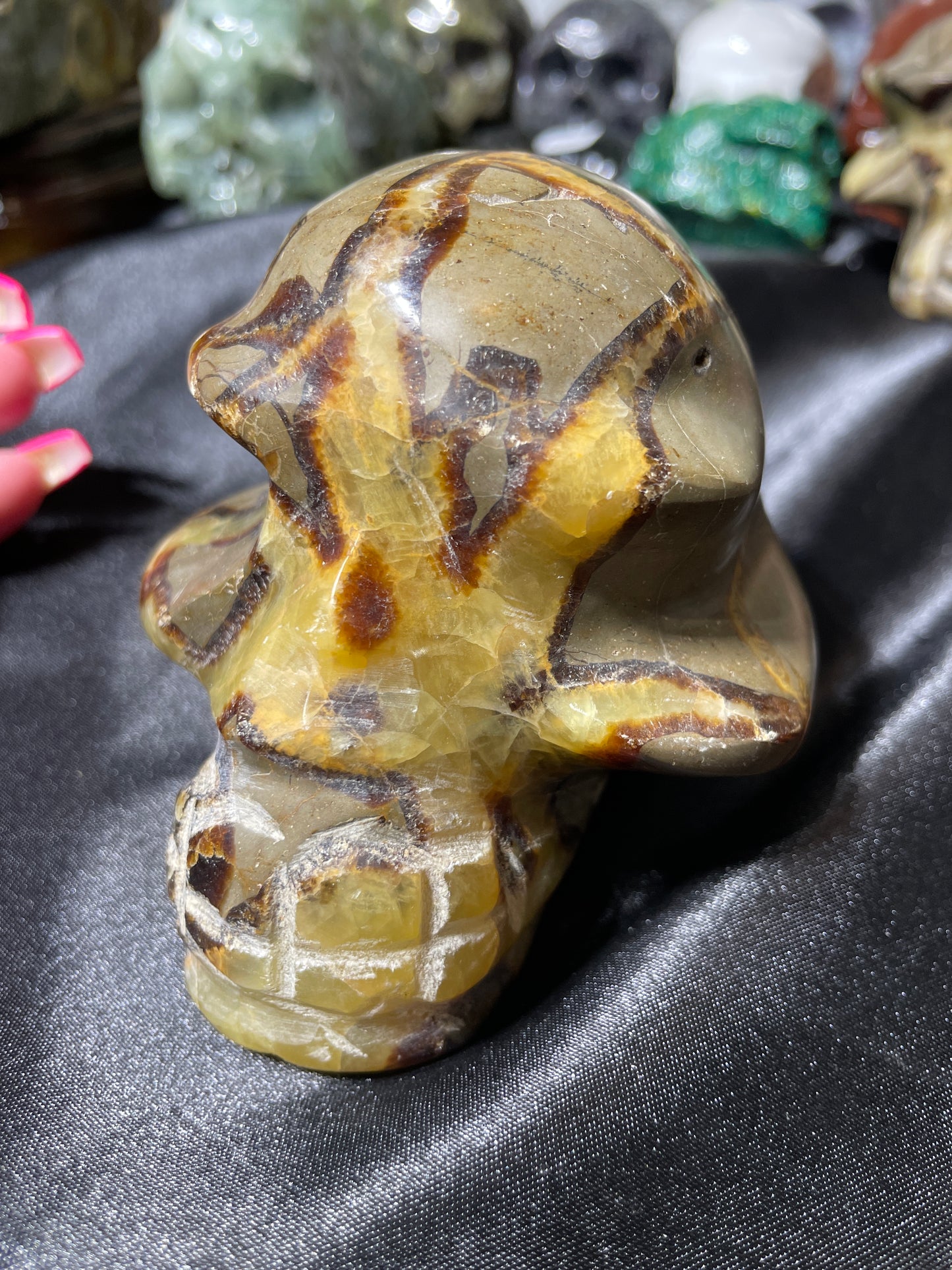 4" Sepatarian Skull