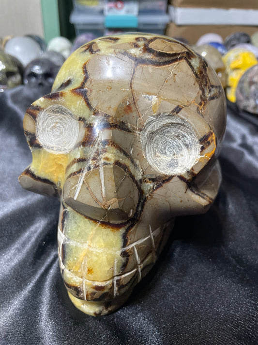 6.5" Septarian Skull