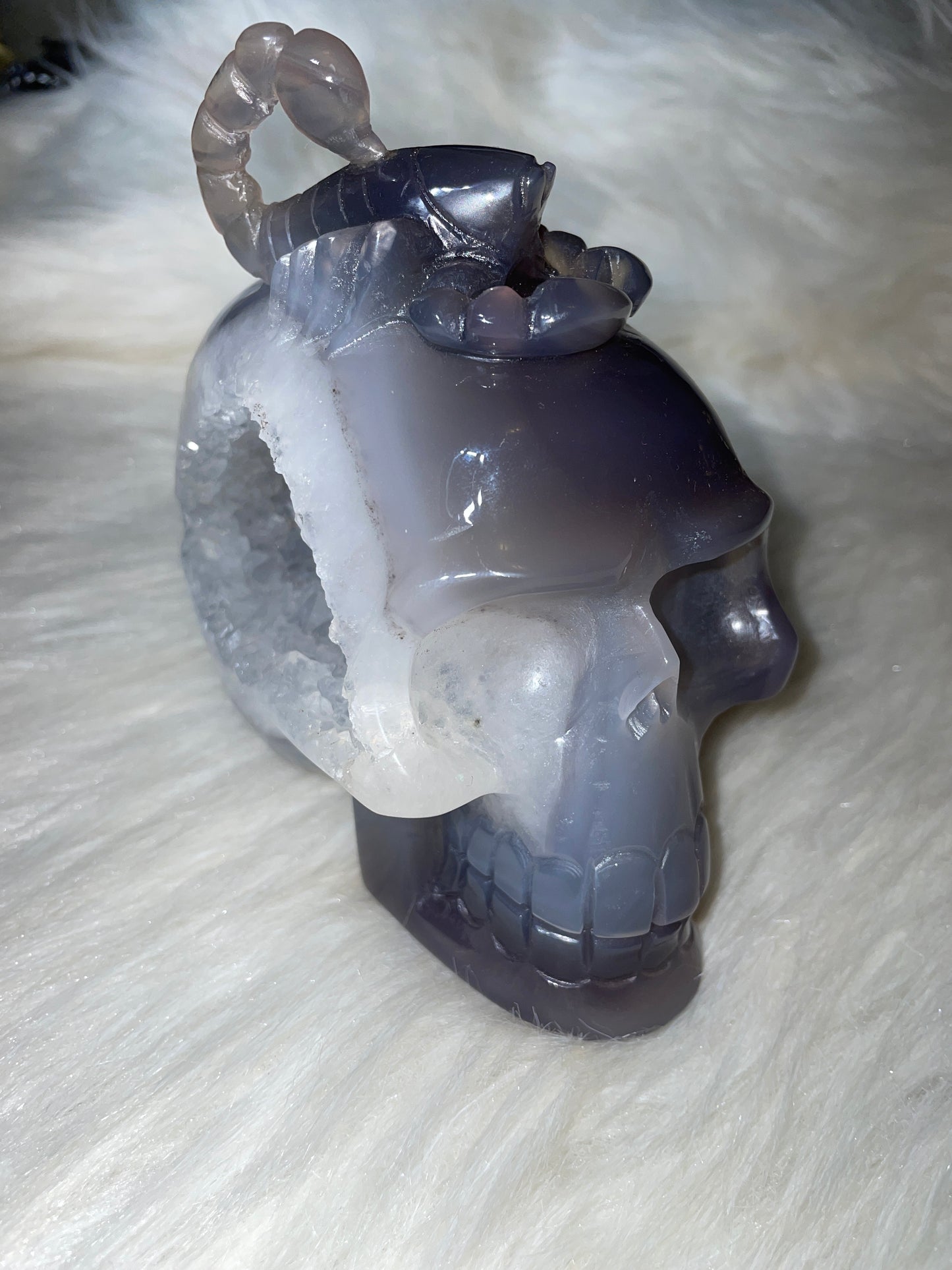 5" Druzy Agate Skull with Scorpion