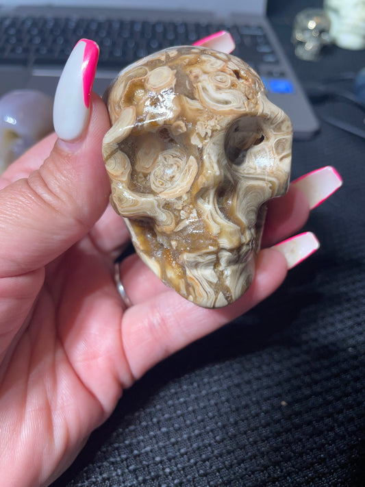 Chocolate jasper skull 3in